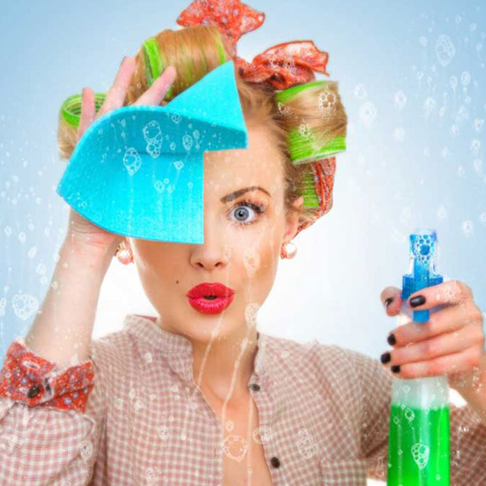 Nest Cleaning Services