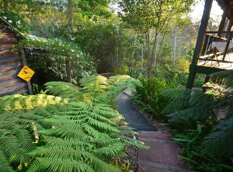 Bellbird Cottage Bnb South Coast Southern Highlands